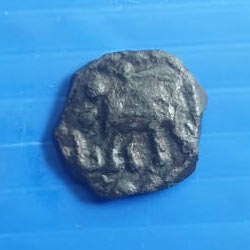 Mysore Wodeyar Elephant Coin